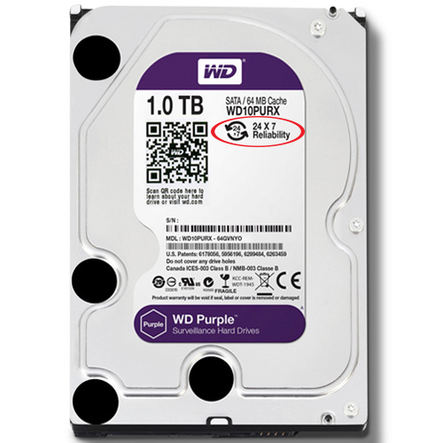 Ổ cứng Western Purple HDD 1TB giá rẻ