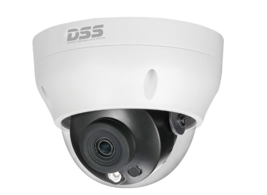 Camera quan sát IP DAHUA DS2230RDIP-S2 (2.0 megapixel, hồng ngoại 30m) chính hãng
