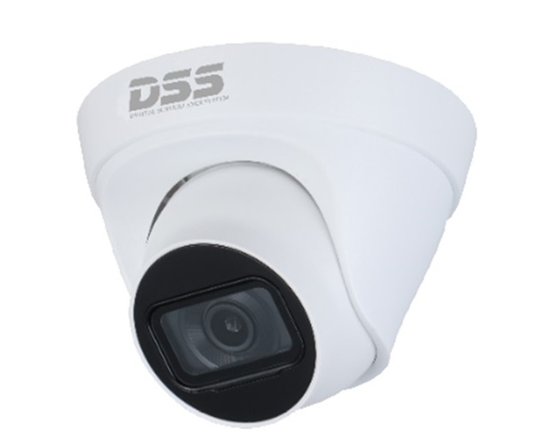 Camera quan sát IP DAHUA DS2431TDIP-S2 (4.0 megapixel, hồng ngoại 30m) chính hãng