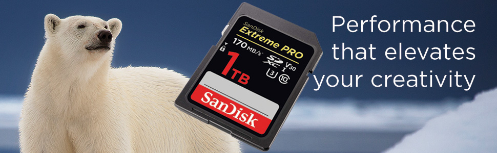Thẻ nhớ SanDisk SDSDXXY-256G-GN4IN