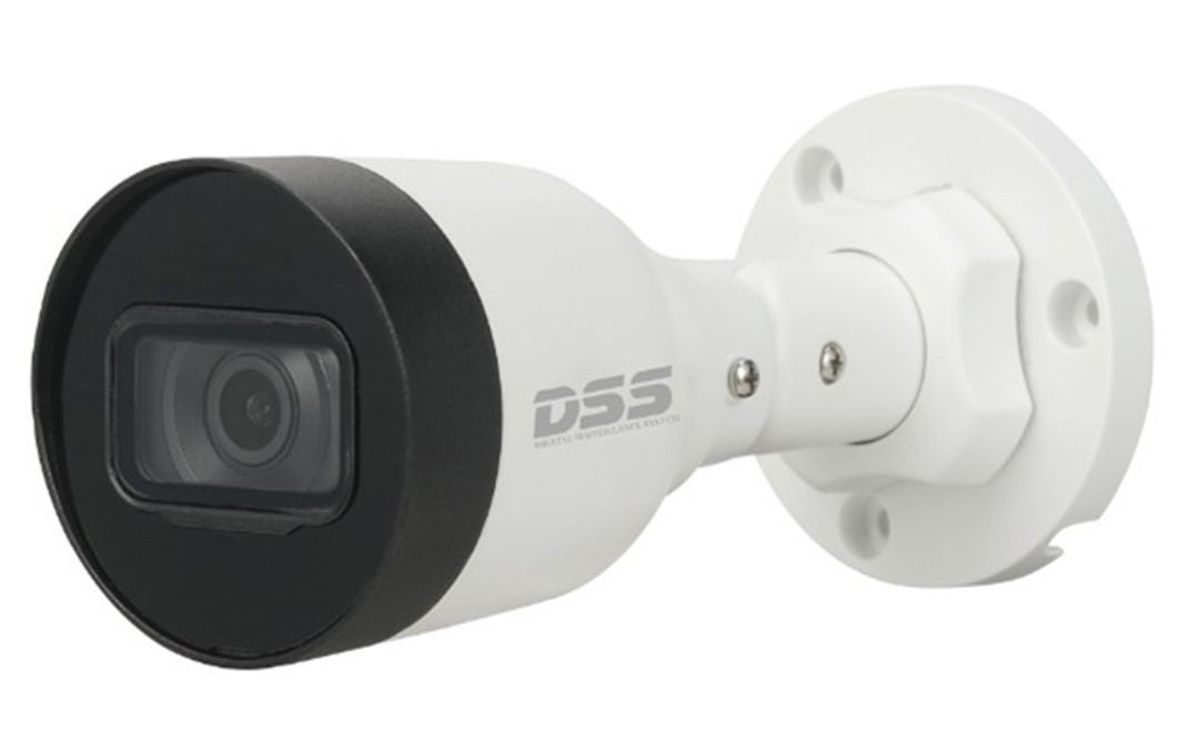 Camera quan sát IP DAHUA DS2431SFIP-S2 (4.0 megapixel, hồng ngoại 30m) chính hãng