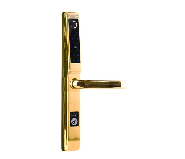Khóa cửa Smart Lock PHGlock FP5293