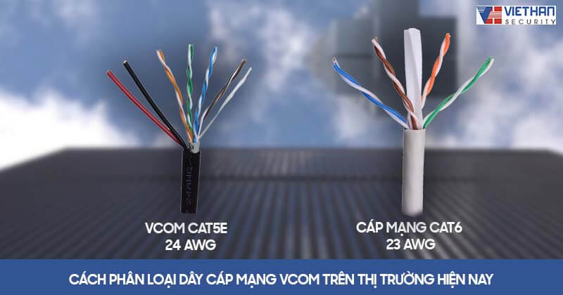 Cách phân loại dây cáp mạng Vcom trên thị trường hiện nay