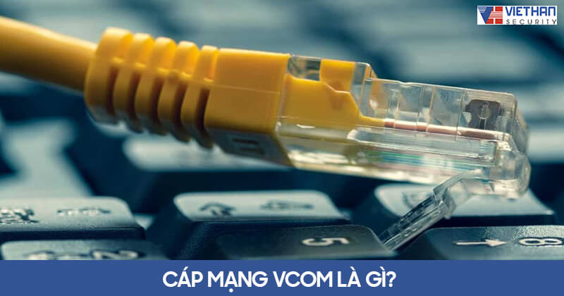Cáp mạng Vcom là gì? 