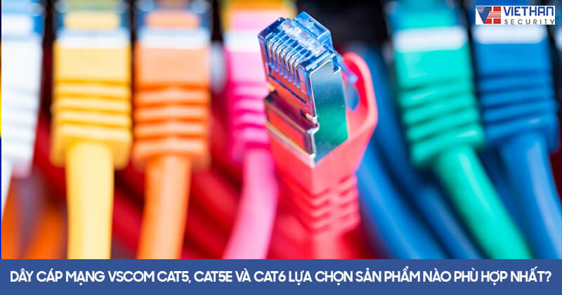 Dây cáp mạng Vscom Cat5, Cat5e và Cat6 lựa chọn sản phẩm nào phù hợp nhất? 