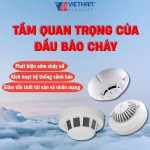 Tầm Quan Trọng Của Đầu Báo Cháy – “Người Gác Cửa” Cho Mọi Công Trình