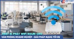 Thiết bị phát Wifi Ruijie cho văn phòng doanh nghiệp - giải pháp mạng tối ưu