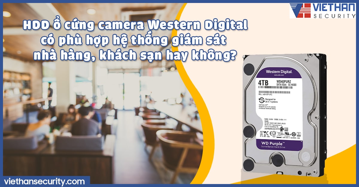 HDD ổ cứng camera Western Digital có phù hợp hệ thống giám sát nhà hàng, khách sạn hay không?