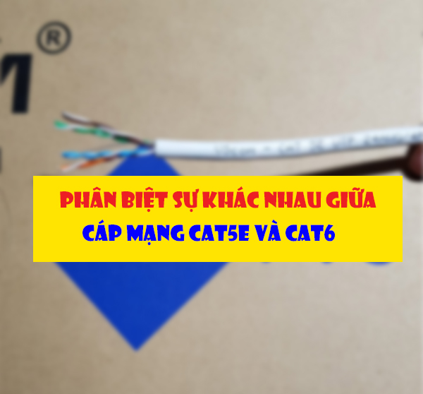 Cáp mạng Cat5 và cáp mạng Cat6 khác nhau như thế nào?