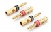 Bộ 4 jack bắp chuối nối dây loa, amply Ugreen 30513 Đầu mạ vàng 24K cao cấp