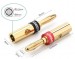 Bộ 4 jack bắp chuối nối dây loa, amply Ugreen 30513 Đầu mạ vàng 24K cao cấp