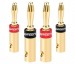 Bộ 4 jack bắp chuối nối dây loa, amply Ugreen 30513 Đầu mạ vàng 24K cao cấp