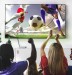 Cáp HDMI 2.0 Ugreen 30999 dài 1m bọc nylon, Hỗ trợ  32 kênh audio, ARC, Độ phân giải 4K@60Hz 