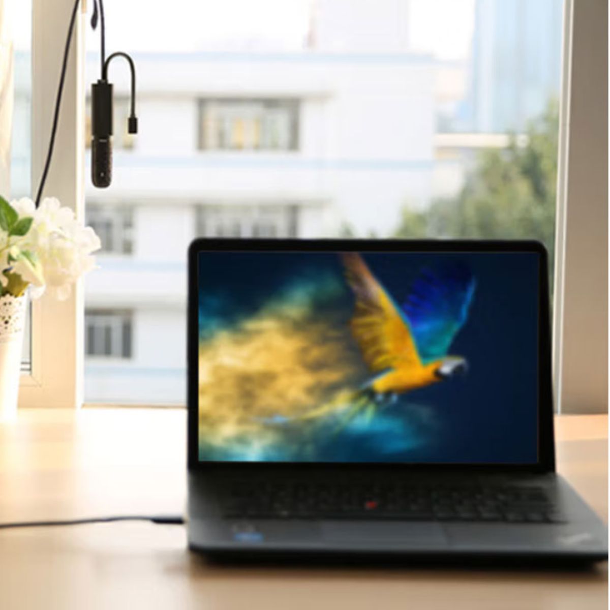 Cáp USB 3.0 nối dài 5m hỗ trợ nguồn Micro USB chính hãng Ugreen 20826 cao cấp